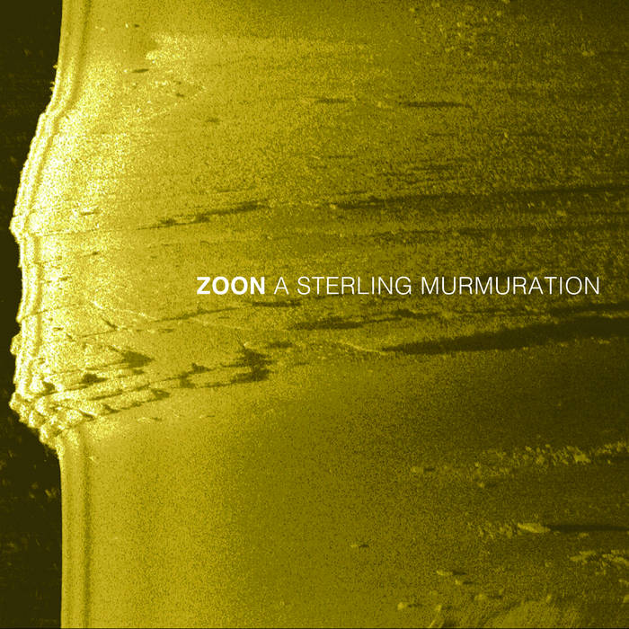 cover of EP Sterling Murmuration 
