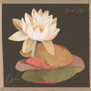 A Lotus flower on two lily pads. The colours are muted and the background is dark grey.