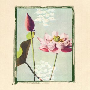 A pink flower, flower bud, and a green leaf on a pale green background, framed by a darker green frame and a light beige background.